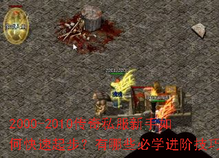 2000-2010����˽��������ο����𲽣�����Щ��ѧ���׼��ɣ�