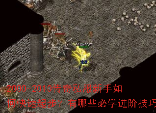 2000-2010����˽��������ο����𲽣�����Щ��ѧ���׼��ɣ�