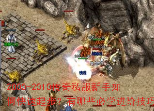 2000-2010����˽��������ο����𲽣�����Щ��ѧ���׼��ɣ�