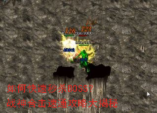 ��ο�����ɱBOSS��ս��ϻ���ͨ���Դ����