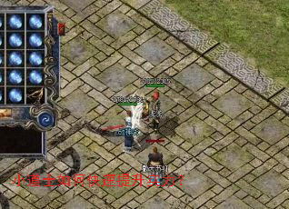 С��ʿ��ο�������ʵ����