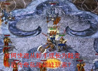 ��ο��ٴ����ֳɳ�Ϊ������������˽���۷���ң�