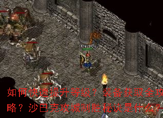 ��ο��������ȼ���װ����ȡȫ���ԣ�ɳ�Ϳ˹�����ʤ�ؾ���ʲô��