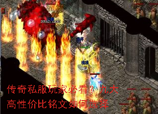 ����˽����ұؿ����Ŵ���Լ۱��������ѡ��