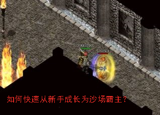 如何快速从新手成长为沙场霸主? 如何快速从新手成长为沙场霸主?