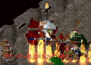 如何快速从新手成长为沙场霸主? 如何快速从新手成长为沙场霸主?