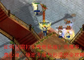 ����ưԴ��״���˽�����߱��ʡ����ķ����ȶ�������������ȫ����