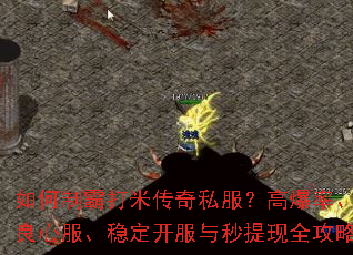 ����ưԴ��״���˽�����߱��ʡ����ķ����ȶ�������������ȫ����