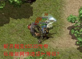 �¿�����65535����˽����ο��������ȼ���