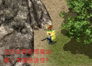 ��ʦ��λ��ħ���ܣ�����Щ;����