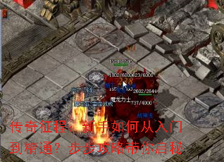 传奇征程:新手如何从入门到精通?步步攻略带你启秘 传奇征程:新手如何从入门到精通?步步攻略带你启秘