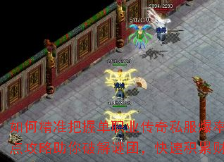 如何精准把握单职业传奇私服爆率?卡点攻略助你破解谜团,快速积累财富 如何精准把握单职业传奇私服爆率?卡点攻略助你破解谜团,快速积累财富