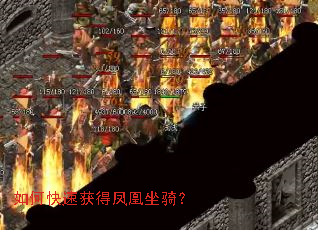 如何快速获得凤凰坐骑? 如何快速获得凤凰坐骑?