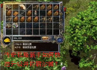 传奇私服新手如何快速升级并称霸沙城? 传奇私服新手如何快速升级并称霸沙城?