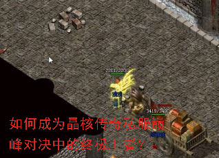 如何成为晶核传奇私服巅峰对决中的终极王者? 如何成为晶核传奇私服巅峰对决中的终极王者?
