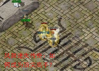 凤舞迷失传奇:如何成为顶尖高手? 凤舞迷失传奇:如何成为顶尖高手?