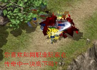 你喜欢和同职业玩家在传奇中一决高下吗? 你喜欢和同职业玩家在传奇中一决高下吗?