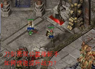 刀剑无双公益服新手如何快速提升战力? 刀剑无双公益服新手如何快速提升战力?