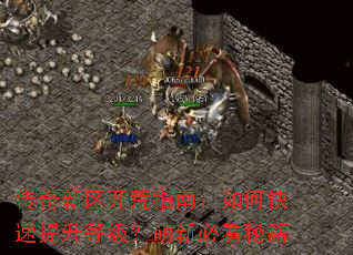 传奇新区开荒指南:如何快速提升等级?萌新必看秘籍 传奇新区开荒指南:如何快速提升等级?萌新必看秘籍