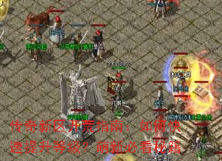 传奇新区开荒指南:如何快速提升等级?萌新必看秘籍 传奇新区开荒指南:如何快速提升等级?萌新必看秘籍