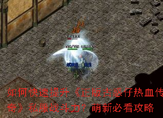 如何快速提升《正版古惑仔热血传奇》私服战斗力?萌新必看攻略 如何快速提升《正版古惑仔热血传奇》私服战斗力?萌新必看攻略