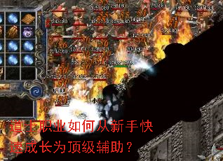 道士职业如何从新手快速成长为顶级辅助? 道士职业如何从新手快速成长为顶级辅助?