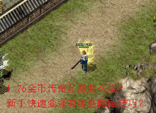 1.76金币传奇私服怎么玩?新手快速变强有哪些隐藏技巧? 1.76金币传奇私服怎么玩?新手快速变强有哪些隐藏技巧?