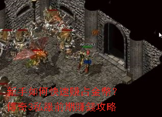 新手如何快速赚占金幣?傳奇3私服前期賺錢攻略 新手如何快速赚占金幣?傳奇3私服前期賺錢攻略