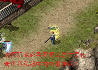 法师玩家必看哪把武器才是传奇世界私服中的终极神兵? 法师玩家必看哪把武器才是传奇世界私服中的终极神兵?