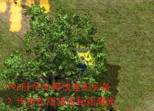 996肝帝如何快速刷装备?传奇私服独家秘籍曝光 996肝帝如何快速刷装备?传奇私服独家秘籍曝光