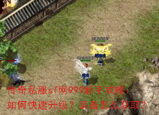 传奇私服sf网999新手攻略:如何快速升级?装备怎么获取? 传奇私服sf网999新手攻略:如何快速升级?装备怎么获取?