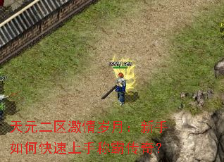 天元二区激情岁月:新手如何快速上手称霸传奇? 天元二区激情岁月:新手如何快速上手称霸传奇?