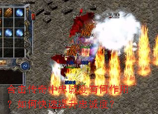合击传奇中忠诚度有何作用?如何快速提升忠诚度? 合击传奇中忠诚度有何作用?如何快速提升忠诚度?