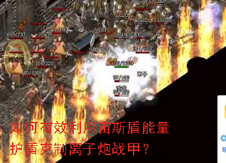 如何有效利用宙斯盾能量护盾克制离子炮战甲? 如何有效利用宙斯盾能量护盾克制离子炮战甲?