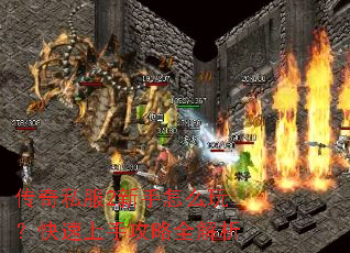 传奇私服2新手怎么玩?快速上手攻略全解析 传奇私服2新手怎么玩?快速上手攻略全解析