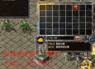 如何快速提升《霸王大陆2》角色等级? 如何快速提升《霸王大陆2》角色等级?