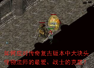 如何应对传奇复古版本中大块头怪物法师的最爱、战士的克星? 如何应对传奇复古版本中大块头怪物法师的最爱、战士的克星?