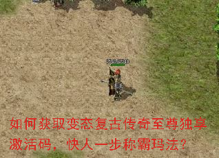 ��λ�ȡ��̬���Ŵ���������������룬����һ���ư��귨��