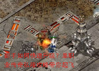新手如何快速升级?单职业传奇私服攻略带你起飞 新手如何快速升级?单职业传奇私服攻略带你起飞