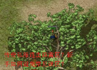 传奇私服连击踩雷区?新手如何避免常见误区? 传奇私服连击踩雷区?新手如何避免常见误区?