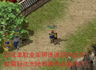 忘忧单职业如何快速提升战力?称霸玛法大陆有哪些必备技巧? 忘忧单职业如何快速提升战力?称霸玛法大陆有哪些必备技巧?