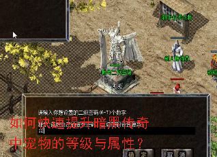 如何快速提升暗黑传奇中宠物的等级与属性? 如何快速提升暗黑传奇中宠物的等级与属性?