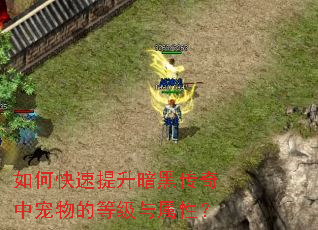 如何快速提升暗黑传奇中宠物的等级与属性? 如何快速提升暗黑传奇中宠物的等级与属性?