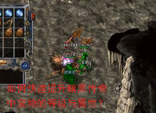 如何快速提升暗黑传奇中宠物的等级与属性? 如何快速提升暗黑传奇中宠物的等级与属性?