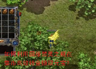 如何利用国服禁灵之瓶在集市高效转金赚取元宝? 如何利用国服禁灵之瓶在集市高效转金赚取元宝?