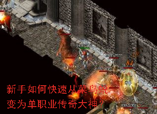 新手如何快速从菜鸟蜕变为单职业传奇大神? 新手如何快速从菜鸟蜕变为单职业传奇大神?