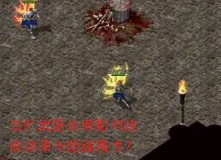 ��ʦ�������Ӱ�켼��Ч�����������ԣ�