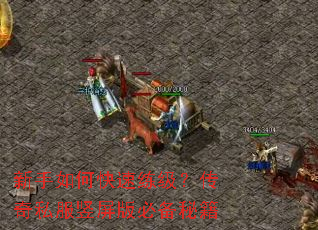 新手如何快速练级?传奇私服竖屏版必备秘籍 新手如何快速练级?传奇私服竖屏版必备秘籍