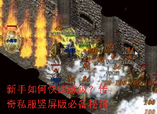 新手如何快速练级?传奇私服竖屏版必备秘籍 新手如何快速练级?传奇私服竖屏版必备秘籍