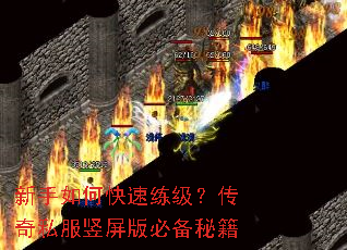 新手如何快速练级?传奇私服竖屏版必备秘籍 新手如何快速练级?传奇私服竖屏版必备秘籍